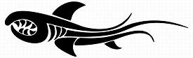Logo des Requins Noirs