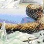 varpigue