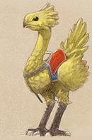 un Touak équipé