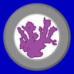 PNG - 111.9 ko