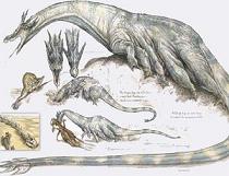 Un immense monstre caché sous la boue des marais