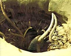 sarlacc