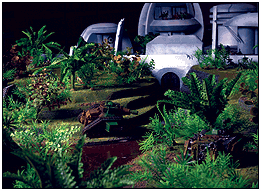 Dympo City, ville au milieu de la jungle