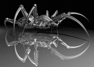 Une araignée électronique ?