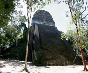 pyramide dans la foret